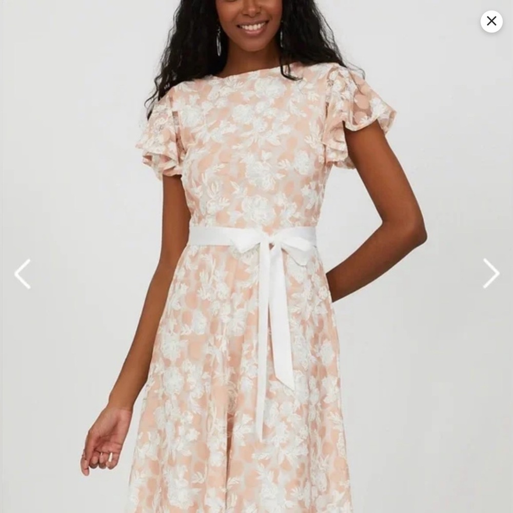 Flutter Sleeve Lace Mini Dress - Withered Rose